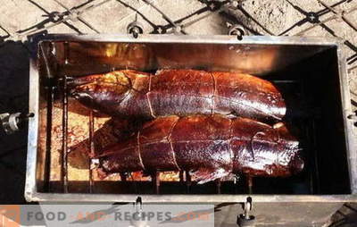 Formas de fumar salmón rosado en casa. Recetas probadas de platos sencillos de salmón rosado ahumado propia cocina