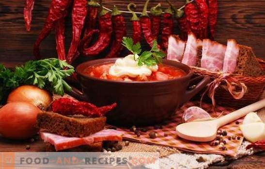 ¿Qué especias se necesitan para el borscht y cuáles no se pueden poner en ella?