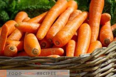 Zanahorias: beneficios y daño al cuerpo