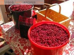 Cómo almacenar lingonberry