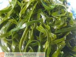 Sea Kale: Beneficio y daño
