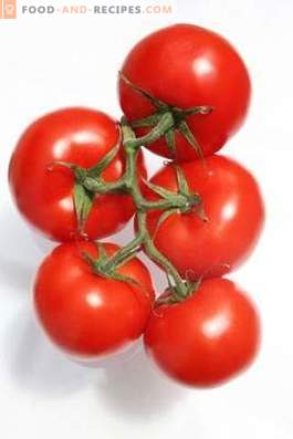 Tomates: beneficios y daños para el cuerpo