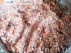 Albóndigas de carne con arroz