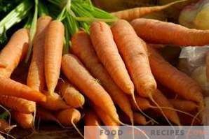 Cómo congelar zanahorias para el invierno