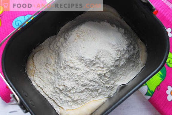 Pastel de levadura real con pasas en una máquina para hacer pan según la receta de nuestras abuelas