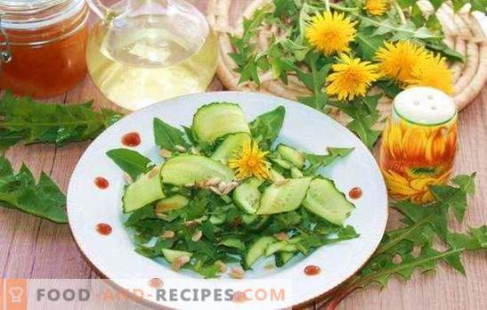 ¡La ensalada de hojas de diente de león es casi una medicina! Variantes de ensaladas de hojas de diente de león con queso, vegetales, huevos, frutas, nueces