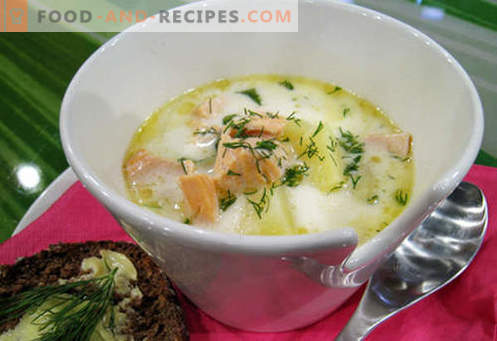 Sopa de caballa - las mejores recetas. Cómo cocinar adecuadamente y sabrosa la sopa y la caballa.