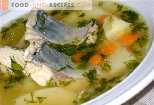 Sopa de caballa - las mejores recetas. Cómo cocinar adecuadamente y sabrosa la sopa y la caballa.