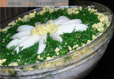 Ensalada de manzanilla - una selección de las mejores recetas. Cómo preparar correctamente y sabroso la ensalada 